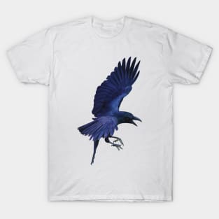 Raven in flight. Beautiful sheens of blue, purples and black. An understated bird. Bird lovers gift T-Shirt